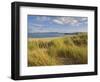 Sand Dunes and Dune Grasses of Mellon Udrigle Beach, Wester Ross, North West Scotland-Neale Clarke-Framed Photographic Print