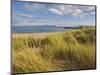 Sand Dunes and Dune Grasses of Mellon Udrigle Beach, Wester Ross, North West Scotland-Neale Clarke-Mounted Photographic Print