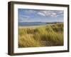 Sand Dunes and Dune Grasses of Mellon Udrigle Beach, Wester Ross, North West Scotland-Neale Clarke-Framed Photographic Print