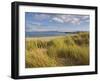 Sand Dunes and Dune Grasses of Mellon Udrigle Beach, Wester Ross, North West Scotland-Neale Clarke-Framed Photographic Print