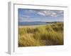 Sand Dunes and Dune Grasses of Mellon Udrigle Beach, Wester Ross, North West Scotland-Neale Clarke-Framed Photographic Print