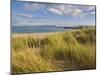 Sand Dunes and Dune Grasses of Mellon Udrigle Beach, Wester Ross, North West Scotland-Neale Clarke-Mounted Photographic Print