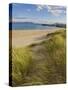 Sand Dunes and Dune Grasses of Mellon Udrigle Beach, Wester Ross, North West Scotland-Neale Clarke-Stretched Canvas