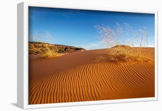 Sand dunes and grass, Coral Pink Sand Dunes State Park, Kane County, Utah, USA.-Russ Bishop-Framed Photographic Print