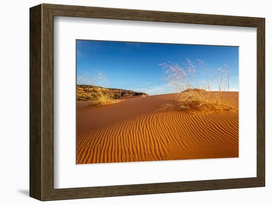Sand dunes and grass, Coral Pink Sand Dunes State Park, Kane County, Utah, USA.-Russ Bishop-Framed Photographic Print