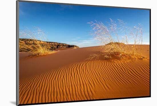 Sand dunes and grass, Coral Pink Sand Dunes State Park, Kane County, Utah, USA.-Russ Bishop-Mounted Photographic Print