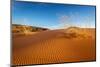 Sand dunes and grass, Coral Pink Sand Dunes State Park, Kane County, Utah, USA.-Russ Bishop-Mounted Photographic Print
