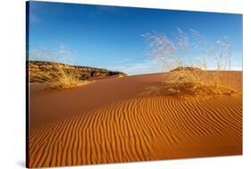 Sand dunes and grass, Coral Pink Sand Dunes State Park, Kane County, Utah, USA.-Russ Bishop-Stretched Canvas