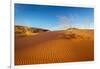 Sand dunes and grass, Coral Pink Sand Dunes State Park, Kane County, Utah, USA.-Russ Bishop-Framed Photographic Print