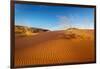 Sand dunes and grass, Coral Pink Sand Dunes State Park, Kane County, Utah, USA.-Russ Bishop-Framed Photographic Print