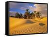 Sand Dunes and Oasis, Desert, Tunisia-Peter Adams-Framed Stretched Canvas