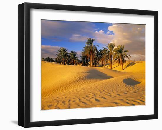 Sand Dunes and Oasis, Desert, Tunisia-Peter Adams-Framed Photographic Print