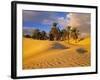 Sand Dunes and Oasis, Desert, Tunisia-Peter Adams-Framed Photographic Print