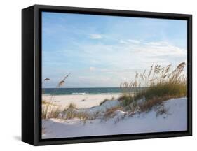 Sand Dunes and Ocean at Sunset, Pensacola, Florida.-forestpath-Framed Stretched Canvas