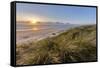 Sand Dunes and Pacific Ocean in the Oregon Dunes NRA, Oregon-Chuck Haney-Framed Stretched Canvas