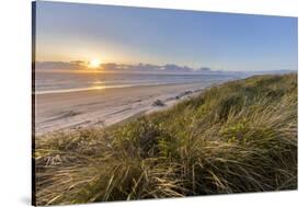 Sand Dunes and Pacific Ocean in the Oregon Dunes NRA, Oregon-Chuck Haney-Stretched Canvas