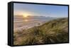 Sand Dunes and Pacific Ocean in the Oregon Dunes NRA, Oregon-Chuck Haney-Framed Stretched Canvas