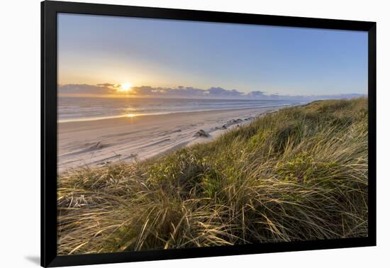 Sand Dunes and Pacific Ocean in the Oregon Dunes NRA, Oregon-Chuck Haney-Framed Photographic Print