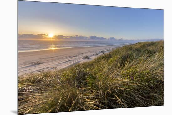 Sand Dunes and Pacific Ocean in the Oregon Dunes NRA, Oregon-Chuck Haney-Mounted Premium Photographic Print