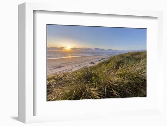 Sand Dunes and Pacific Ocean in the Oregon Dunes NRA, Oregon-Chuck Haney-Framed Photographic Print