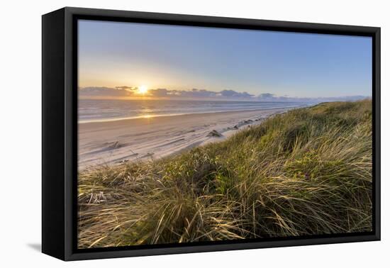 Sand Dunes and Pacific Ocean in the Oregon Dunes NRA, Oregon-Chuck Haney-Framed Stretched Canvas