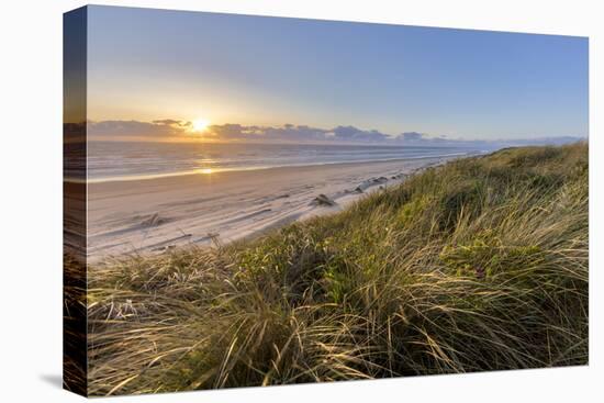 Sand Dunes and Pacific Ocean in the Oregon Dunes NRA, Oregon-Chuck Haney-Stretched Canvas