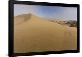 Sand Dunes and Pacific Ocean in the Oregon Dunes NRA, Oregon-Chuck Haney-Framed Photographic Print