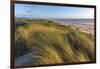 Sand Dunes and Pacific Ocean in the Oregon Dunes NRA, Oregon-Chuck Haney-Framed Photographic Print