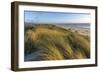 Sand Dunes and Pacific Ocean in the Oregon Dunes NRA, Oregon-Chuck Haney-Framed Photographic Print