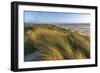 Sand Dunes and Pacific Ocean in the Oregon Dunes NRA, Oregon-Chuck Haney-Framed Photographic Print