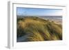 Sand Dunes and Pacific Ocean in the Oregon Dunes NRA, Oregon-Chuck Haney-Framed Photographic Print