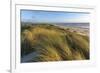 Sand Dunes and Pacific Ocean in the Oregon Dunes NRA, Oregon-Chuck Haney-Framed Premium Photographic Print