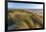 Sand Dunes and Pacific Ocean in the Oregon Dunes NRA, Oregon-Chuck Haney-Framed Premium Photographic Print