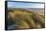 Sand Dunes and Pacific Ocean in the Oregon Dunes NRA, Oregon-Chuck Haney-Framed Stretched Canvas