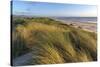 Sand Dunes and Pacific Ocean in the Oregon Dunes NRA, Oregon-Chuck Haney-Stretched Canvas