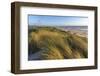 Sand Dunes and Pacific Ocean in the Oregon Dunes NRA, Oregon-Chuck Haney-Framed Photographic Print