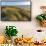 Sand Dunes and Pacific Ocean in the Oregon Dunes NRA, Oregon-Chuck Haney-Framed Stretched Canvas displayed on a wall