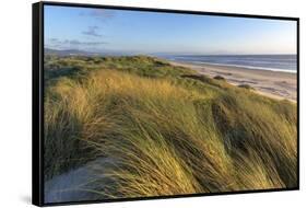 Sand Dunes and Pacific Ocean in the Oregon Dunes NRA, Oregon-Chuck Haney-Framed Stretched Canvas