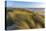 Sand Dunes and Pacific Ocean in the Oregon Dunes NRA, Oregon-Chuck Haney-Stretched Canvas