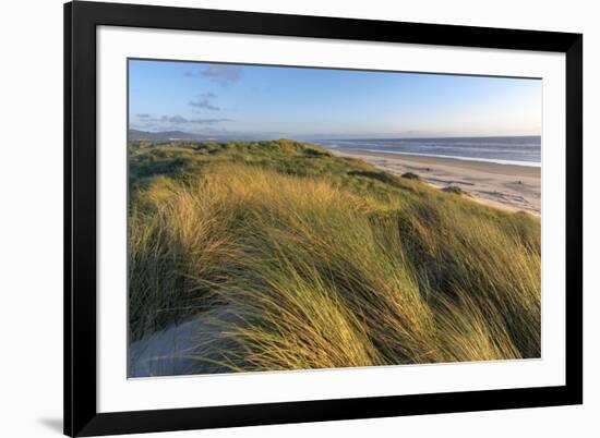 Sand Dunes and Pacific Ocean in the Oregon Dunes NRA, Oregon-Chuck Haney-Framed Photographic Print