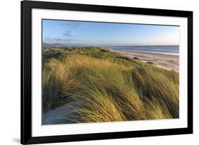 Sand Dunes and Pacific Ocean in the Oregon Dunes NRA, Oregon-Chuck Haney-Framed Photographic Print