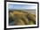 Sand Dunes and Pacific Ocean in the Oregon Dunes NRA, Oregon-Chuck Haney-Framed Photographic Print