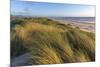 Sand Dunes and Pacific Ocean in the Oregon Dunes NRA, Oregon-Chuck Haney-Mounted Photographic Print