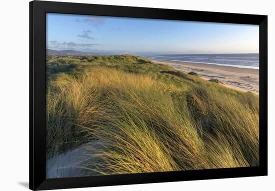 Sand Dunes and Pacific Ocean in the Oregon Dunes NRA, Oregon-Chuck Haney-Framed Photographic Print