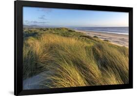 Sand Dunes and Pacific Ocean in the Oregon Dunes NRA, Oregon-Chuck Haney-Framed Photographic Print