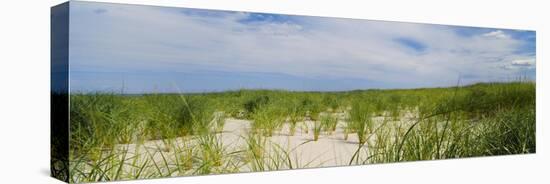 Sand Dunes at Crane Beach, Ipswich, Essex County, Massachusetts, USA-null-Stretched Canvas