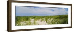 Sand Dunes at Crane Beach, Ipswich, Essex County, Massachusetts, USA-null-Framed Photographic Print