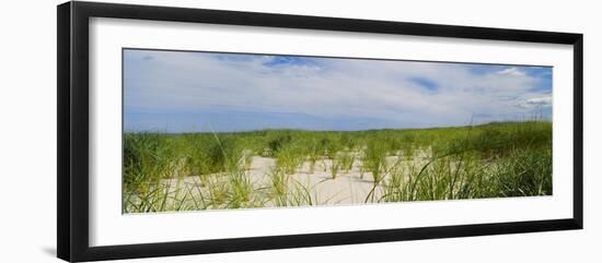 Sand Dunes at Crane Beach, Ipswich, Essex County, Massachusetts, USA-null-Framed Photographic Print