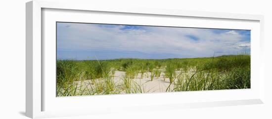 Sand Dunes at Crane Beach, Ipswich, Essex County, Massachusetts, USA-null-Framed Photographic Print