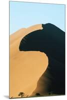 Sand Dunes at Sossusvlei-Paul Souders-Mounted Premium Photographic Print